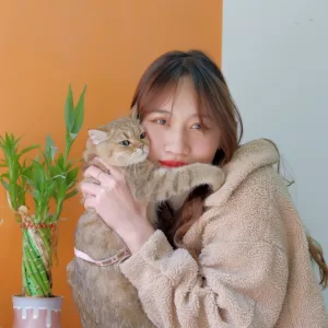 Créez vos propres circuits