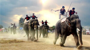 Les courses d’éléphants au Vietnam : Une tradition palpitante dans les hauts plateaux du centre