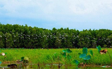 Impression du Sud Vietnam en 17 Jours