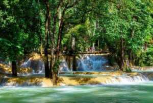Cascade de Tad Sae : Une parenthèse magique à deux pas de Luang Prabang, Laos