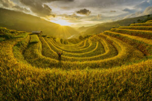 Mu Cang Chai : Tout ce que vous devez savoir avant de voyager