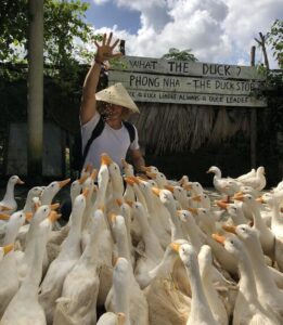 The Duck Stop Vietnam : Un Voyage unique avec les canards