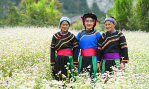 Ethnie Gelao (Co Lao)