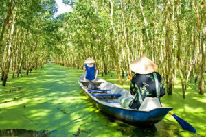 5 forêts de cajeputiers étonnantes dans le delta du Mékong