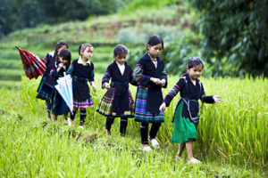 Les meilleurs endroits à visiter au Vietnam en Juillet