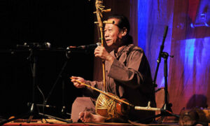 La beauté de musique traditionnelle vietnamienne