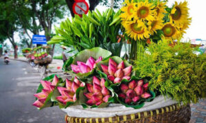 Les meilleurs endroits à visiter au Vietnam en Juin