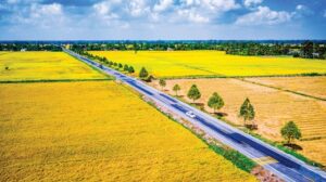 Le premier festival international du riz à Hau Giang, Vietnam 2024