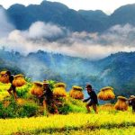 Les Meilleurs Endroits à Visiter dans le Nord-Est du Vietnam