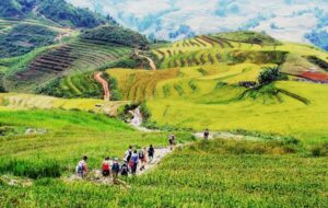 Explorez Ta Phin – Découvrez le Charme Authentique d’un Village à Sapa, Vietnam