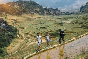 Raisons trekking au Vietnam : Pourquoi Choisir cette Destination d’Aventure
