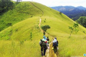 Conseils Essentiels pour le Trekking au Vietnam : Quand, Comment et Que Préparer