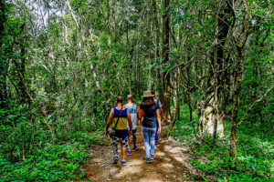 12 sentiers de trekking avec des vues incroyables à découvrir absolument en Thaïlande
