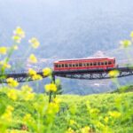 Vallée de Muong Hoa : Où la Nature Peint les Plus Belles Rizières en Terrasses du Vietnam
