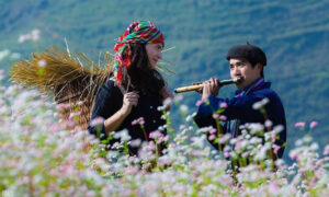Fête des fleurs de sarrasin à Ha Giang au Vietnam 2025