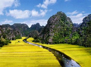 La scène merveilleuse à Tam Coc, Ninh Binh durant la saison de récolte